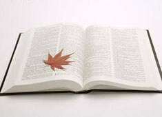 亚眠客场击败巴黎FC，取得宝贵三分